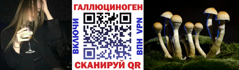 Псилоцибиновые грибы Cubensis  Купить где  Симферополь 